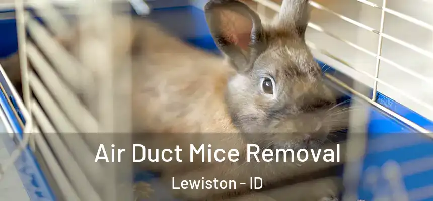 Air Duct Mice Removal Lewiston - ID