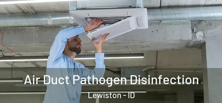 Air Duct Pathogen Disinfection Lewiston - ID