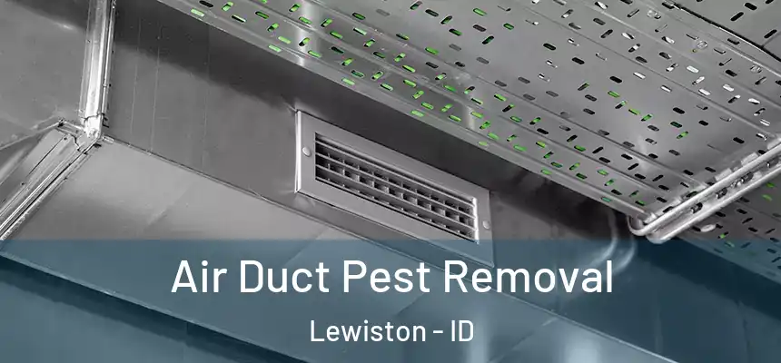Air Duct Pest Removal Lewiston - ID
