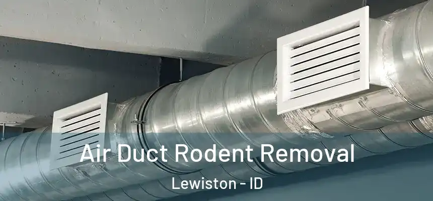 Air Duct Rodent Removal Lewiston - ID