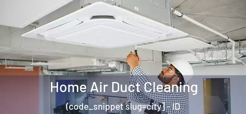  Home Air Duct Cleaning (code_snippet slug=city] - ID