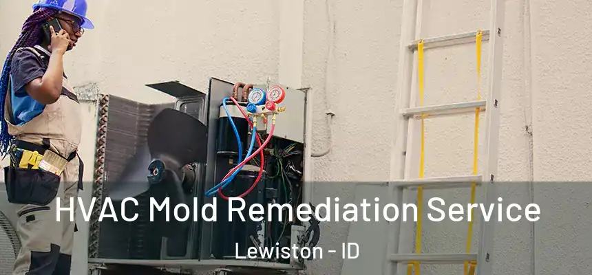  HVAC Mold Remediation Service Lewiston - ID