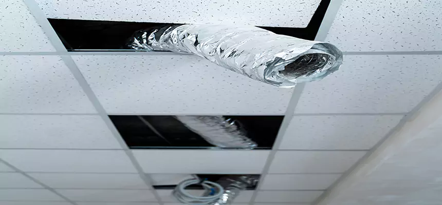 Our Air Duct Pet Hair Removal Services in Lewiston, ID