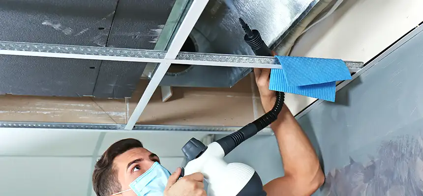 Our Air Duct Rodent Removal Services in Lewiston, ID