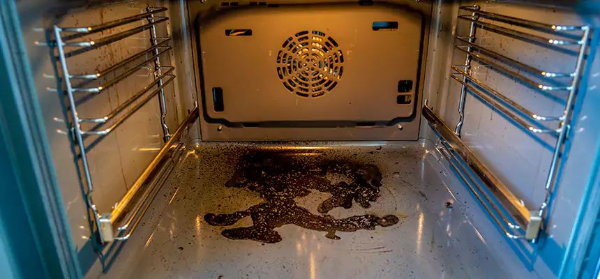 Our Dryer Vent Mold Cleaning Services in Lewiston, ID