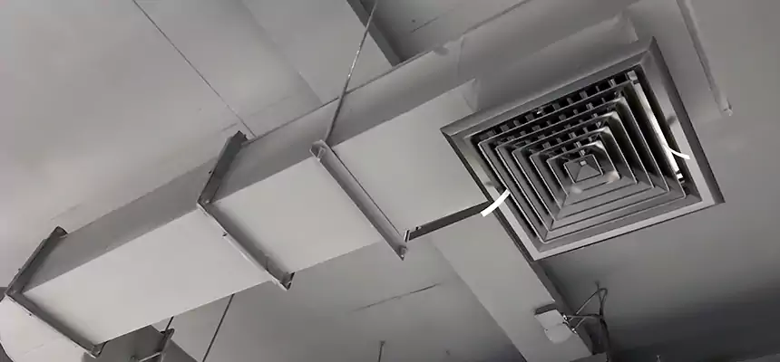 Our Pest Removal From Ducts Services in Lewiston, ID