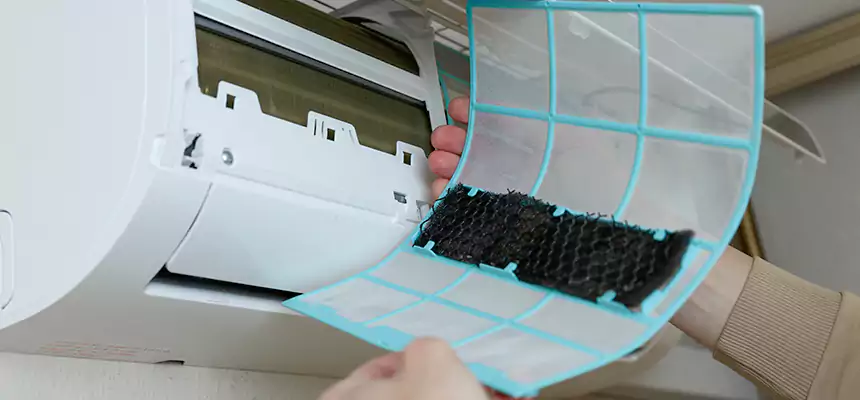 Gentle Ductwork Odor-Control Pet Dander Duct Cleaning in Lewiston, ID