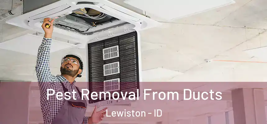  Pest Removal From Ducts Lewiston - ID