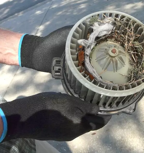 About Air Duct Mice Removal in Lewiston, ID