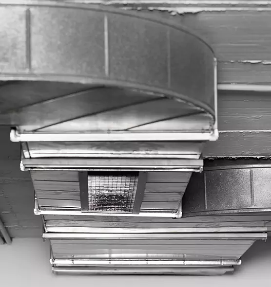 Professional Air Duct Pet Hair Removal in Lewiston, ID