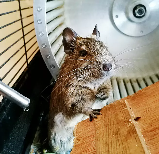 Why Homeowners & Businesses Trust Us Lewiston, ID