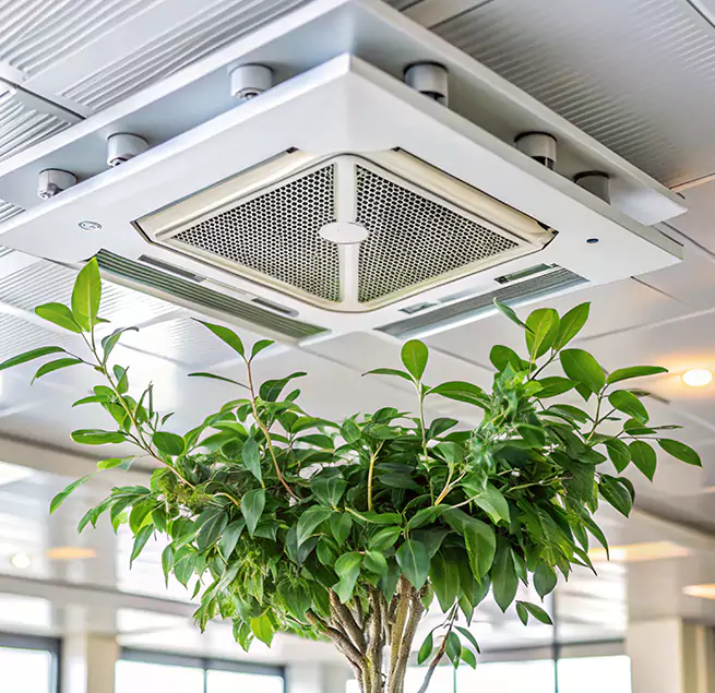 Why Homeowners & Businesses Trust Us in Lewiston, ID